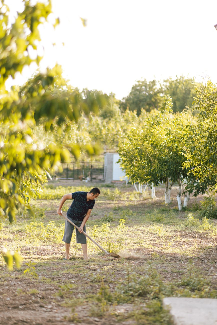 Yaz Sezonu İşçi Alacakları: Hukuki Haklarınız Nelerdir?